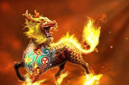 ʮ������ר�������� ��Ҷ���Ҫ��һֻ����