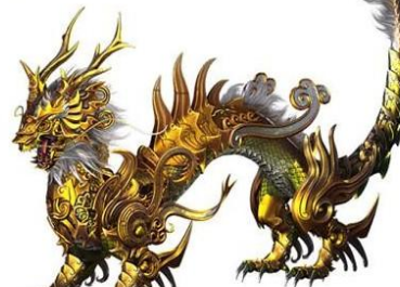 ʮ������ר�������� ��Ҷ���Ҫ��һֻ����