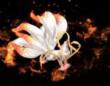 ʮ������ר�������� ��Ҷ���Ҫ��һֻ����