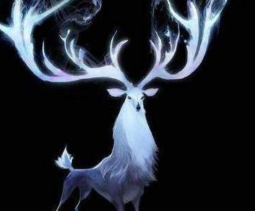 ʮ������ר�������� ��Ҷ���Ҫ��һֻ����