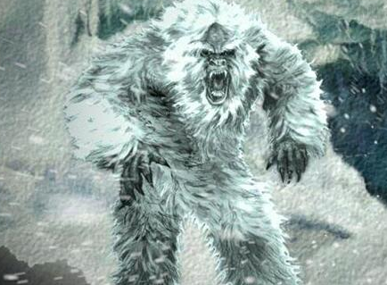 ���粻����ʮ������ ʮ�����������Ŀֲ�����