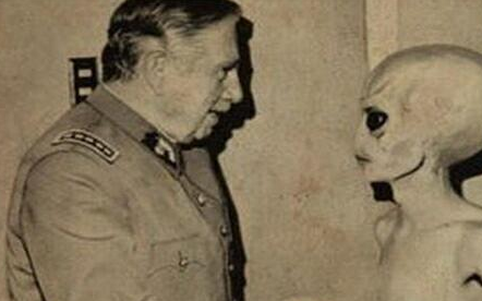 ���粻����ʮ������ ʮ�����������Ŀֲ�����