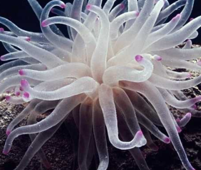 ���������������������� ���ݺ�����һ��ֳ��صĺ���