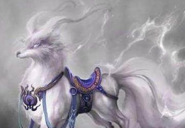 ʮ������ר�������� ��Ҷ���Ҫ��һֻ����