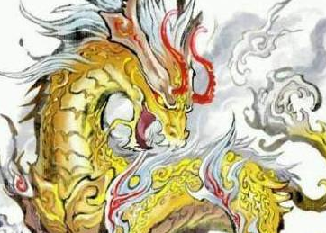 ʮ������ר�������� ��Ҷ���Ҫ��һֻ����