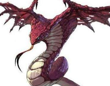 ʮ������ר�������� ��Ҷ���Ҫ��һֻ����