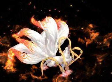 ʮ������ר�������� ��Ҷ���Ҫ��һֻ����