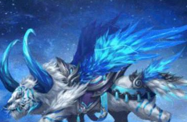 ʮ������ר�������� ��Ҷ���Ҫ��һֻ����