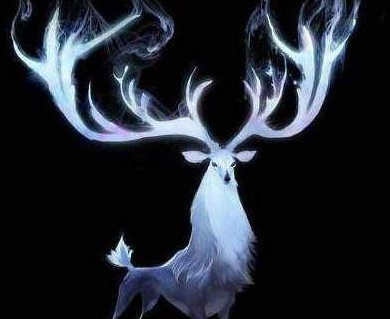 ʮ������ר�������� ��Ҷ���Ҫ��һֻ����