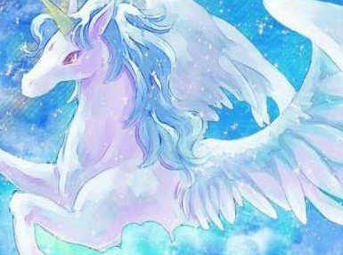 ʮ������ר�������� ��Ҷ���Ҫ��һֻ����