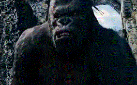 Ӱ������ļ��ɺͷ��� ��һ���ྵͷ�Ƕ�