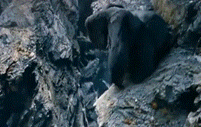 Ӱ������ļ��ɺͷ��� ��һ���ྵͷ�Ƕ�