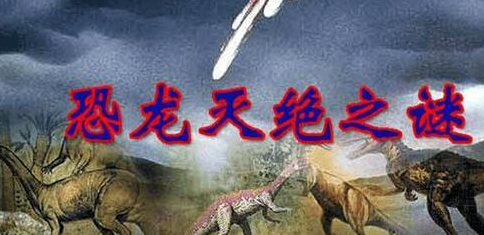 ���粻����ʮ������ ʮ�����������Ŀֲ�����