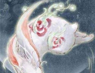 ʮ������ר�������� ��Ҷ���Ҫ��һֻ����