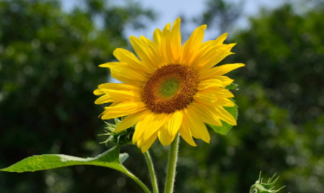 ���ֻ��Ļ����Ԣ�⼰ͼƬ