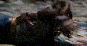 Ӱ������ļ��ɺͷ��� ��һ���ྵͷ�Ƕ�