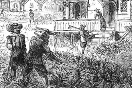 ���粻����ʮ������ ʮ�����������Ŀֲ�����