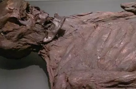 ���粻����ʮ������ ʮ�����������Ŀֲ�����