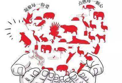 保护濒危动物的方法 如何保护濒危野生动物