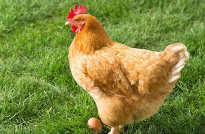 �����˵����˺ͻ��� ���ڰ���ͻ������Ǻܲ�����