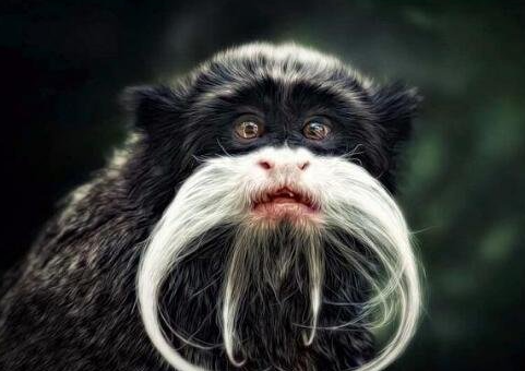 ������ػ���������δ�ŵ����ض��� �̵�����ʮ�����صĶ���