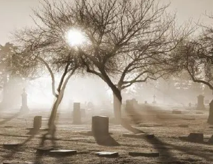 �����ĸ��� �о��Ƿǳ������