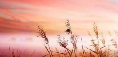 ��Ц��Ů�������ж���� �����ױ��ж�����