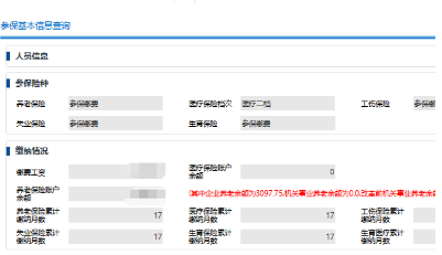 深圳社保个人账户缴费明细如何查询 查询可能会用到的资料