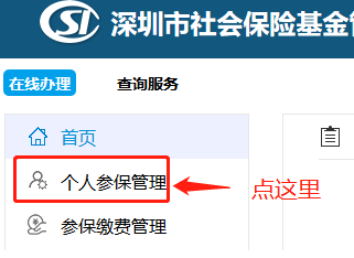深圳社保个人账户缴费明细如何查询 查询可能会用到的资料