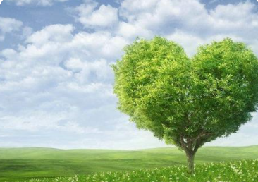 为什么用绿色形容爱情 绿色在爱情里面代表什么