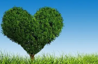 Ϊʲô����ɫ���ݰ��� ��ɫ�ڰ����������ʲô