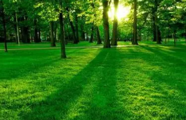 Ϊʲô����ɫ���ݰ��� ��ɫ�ڰ����������ʲô