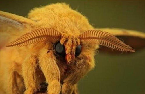 ������ػ���������δ�ŵ����ض��� �̵�����ʮ�����صĶ���