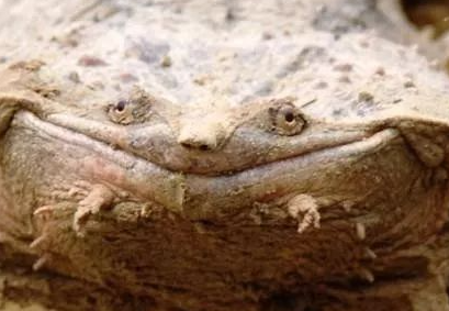 ������ػ���������δ�ŵ����ض��� �̵�����ʮ�����صĶ���