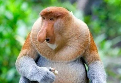 ������ػ���������δ�ŵ����ض��� �̵�����ʮ�����صĶ���