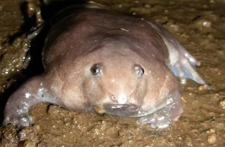 ������ػ���������δ�ŵ����ض��� �̵�����ʮ�����صĶ���