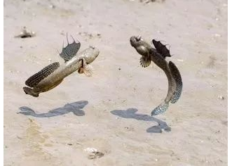 ������ػ���������δ�ŵ����ض��� �̵�����ʮ�����صĶ���