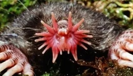 ������ػ���������δ�ŵ����ض��� �̵�����ʮ�����صĶ���