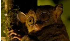 ������ػ���������δ�ŵ����ض��� �̵�����ʮ�����صĶ���