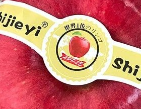 ʥ������ʲô�����Ů���� ��������Ҫ��Щ��˼