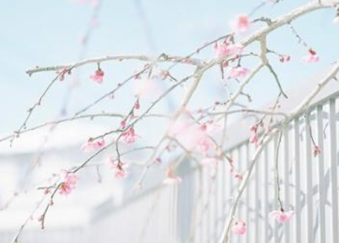 女生该怎样打扮自己 打理好头发化个淡淡的妆