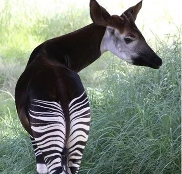 ������ػ���������δ�ŵ����ض��� �̵�����ʮ�����صĶ���