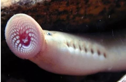 ������ػ���������δ�ŵ����ض��� �̵�����ʮ�����صĶ���