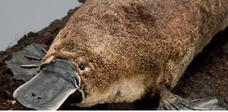 ������ػ���������δ�ŵ����ض��� �̵�����ʮ�����صĶ���