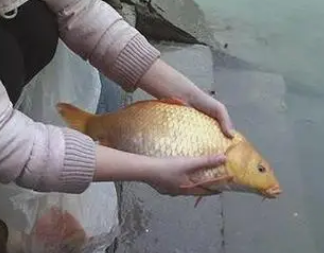 �������»����Ĵ�ȫ �����Ƿ���ʱҪ���ľ���