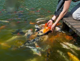 �������»����Ĵ�ȫ �����Ƿ���ʱҪ���ľ���