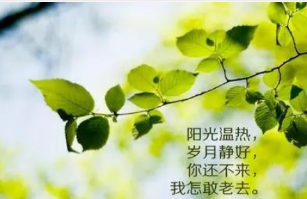 所谓人生经典句子 终于想明白一件事