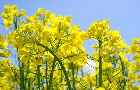 ������д����ԵĶ��� һ��������Ҫ���¿�ʼ