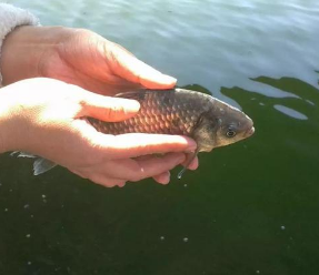 �������»����Ĵ�ȫ �����Ƿ���ʱҪ���ľ���