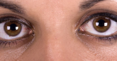 ��Ƥ����Ԥ�� ��ϸ��һ����Ƥ������Ԥ��